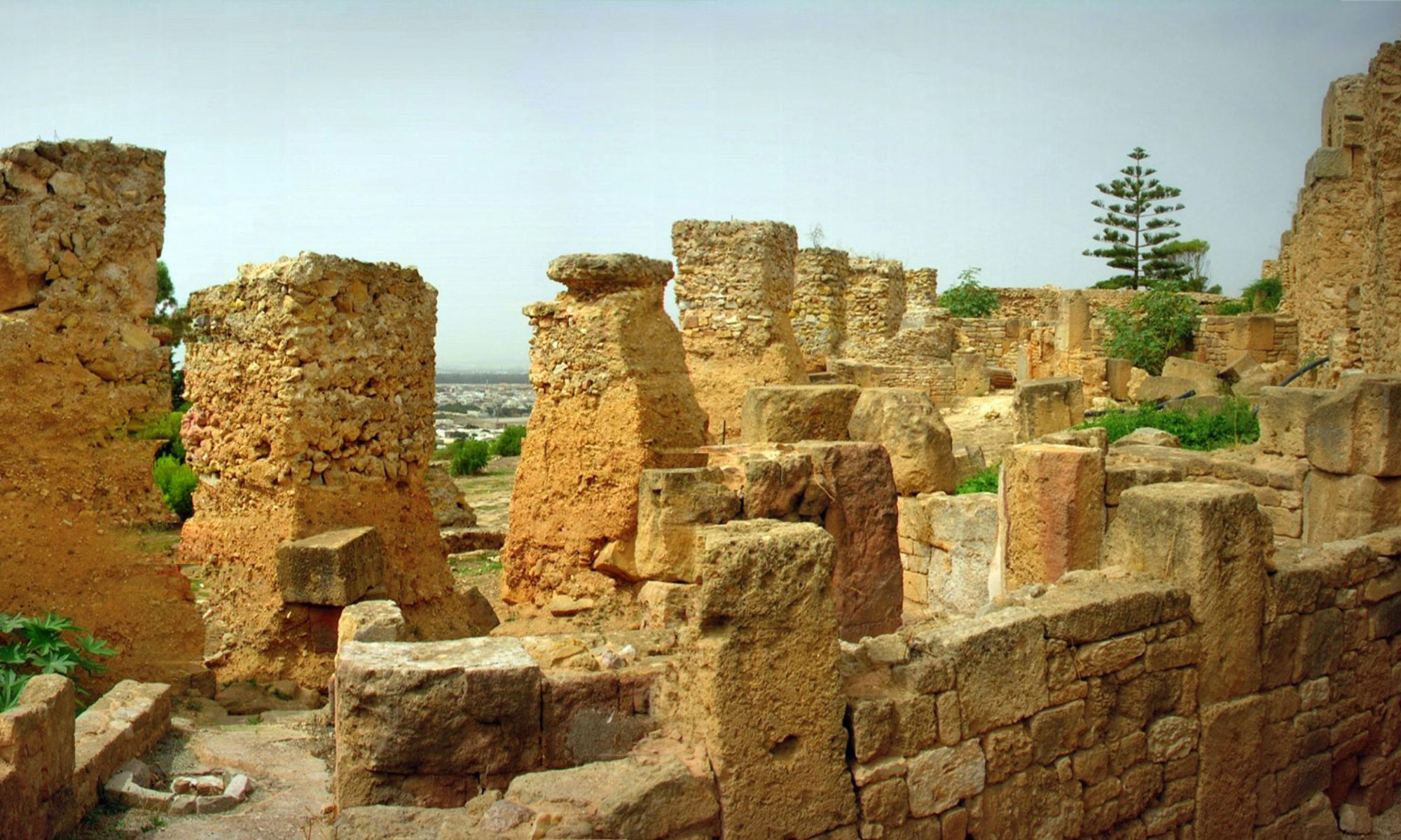 Scuola Archeologica Italiana di Cartagine (SAIC)